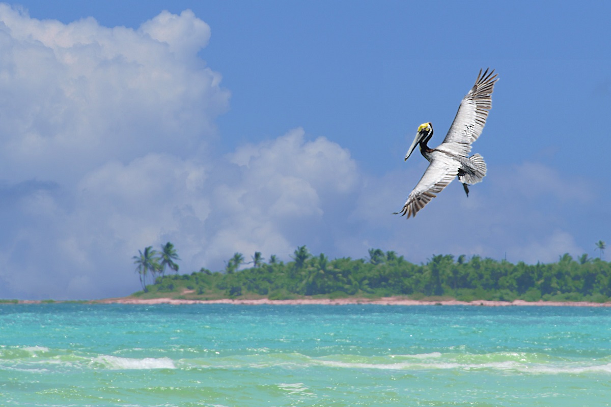 Playa del Carmen